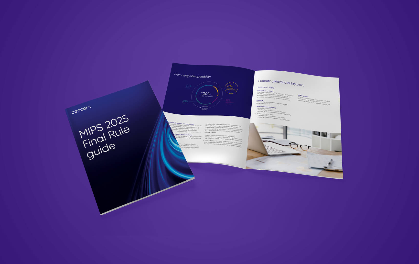 MIPS Brochure